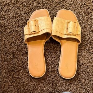 Universal Thread Tan Buckle Slide Sandals